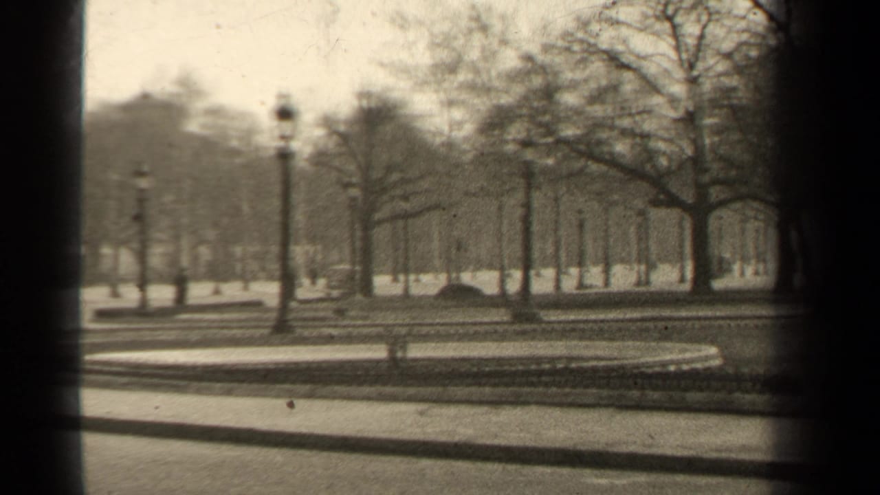 Formal park edge with bare trees, lampposts, paths, and a circular garden bed.