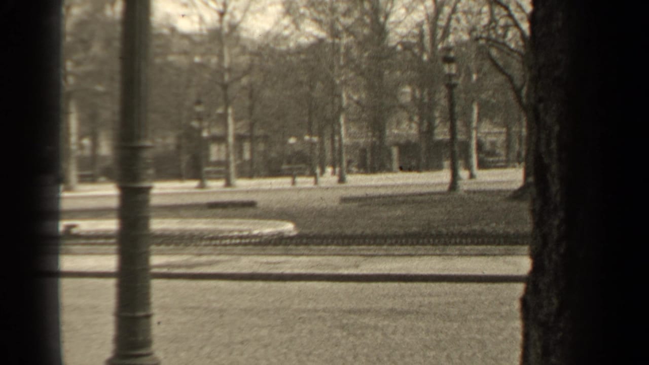 1947 Paris park road with bare trees, lampposts, open paths, and dark foreground bars from a window or vehicle frame.
