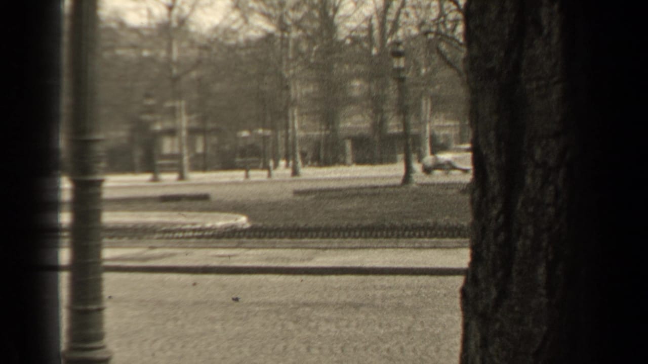1947 Paris street view with automobiles near tree-lined boulevards, stone facades and a dark vertical foreground obstruction.