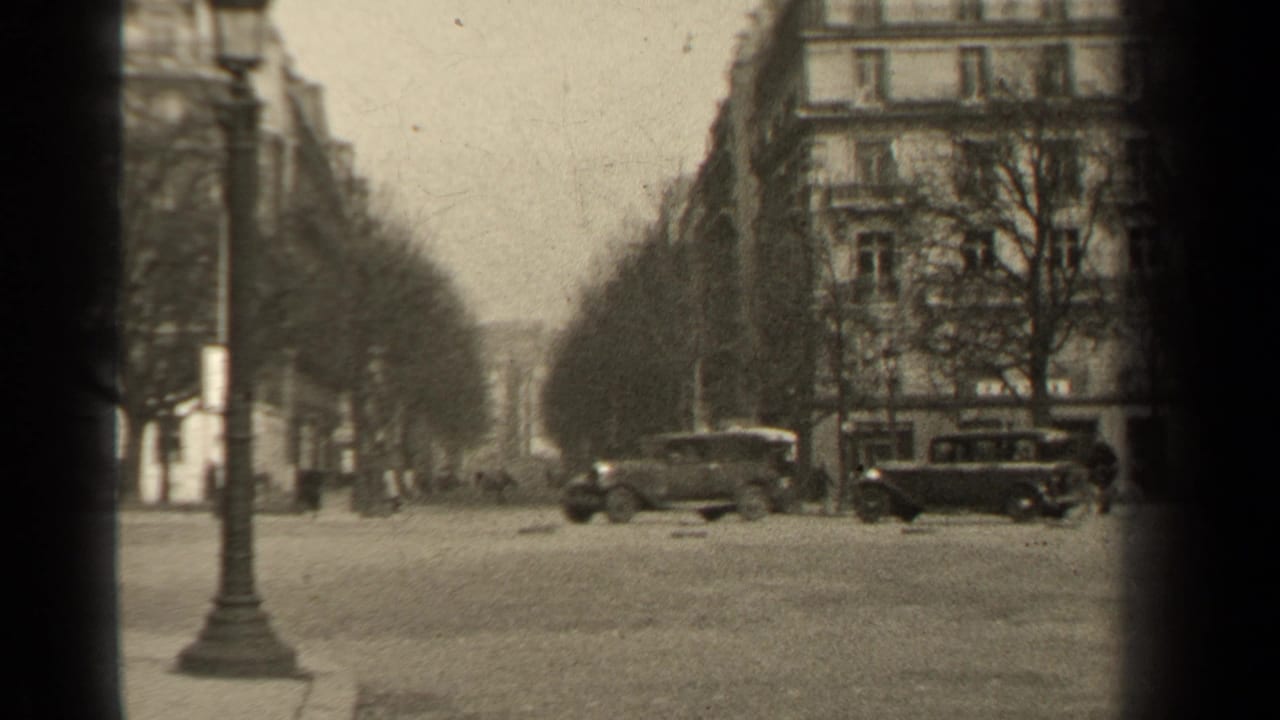 Tree-lined city street with parked automobiles, apartment facades and a lamppost.