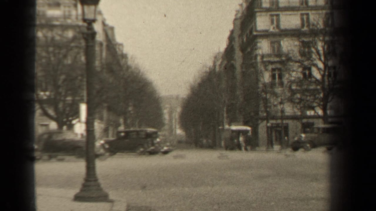 Cars and a small shelter appear along a tree-lined city street with a lamppost in front.