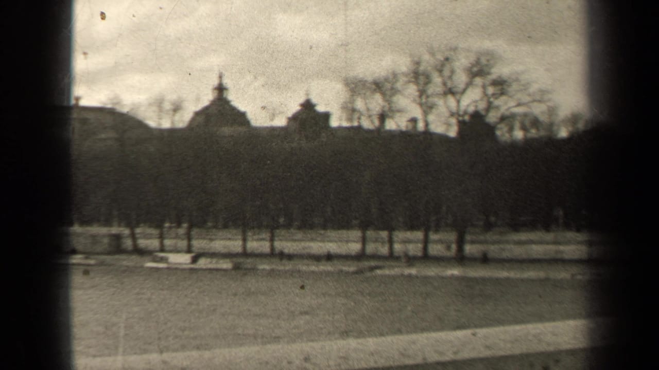 Wide park view with leafless trees, distant rooftops, and overcast sky framed by 8mm borders.