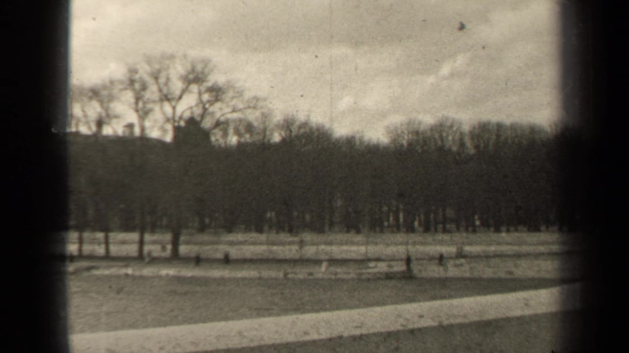 1947 Paris 8mm frame with a quiet winter park foreground, leafless trees, faint distant buildings, and visible film texture.