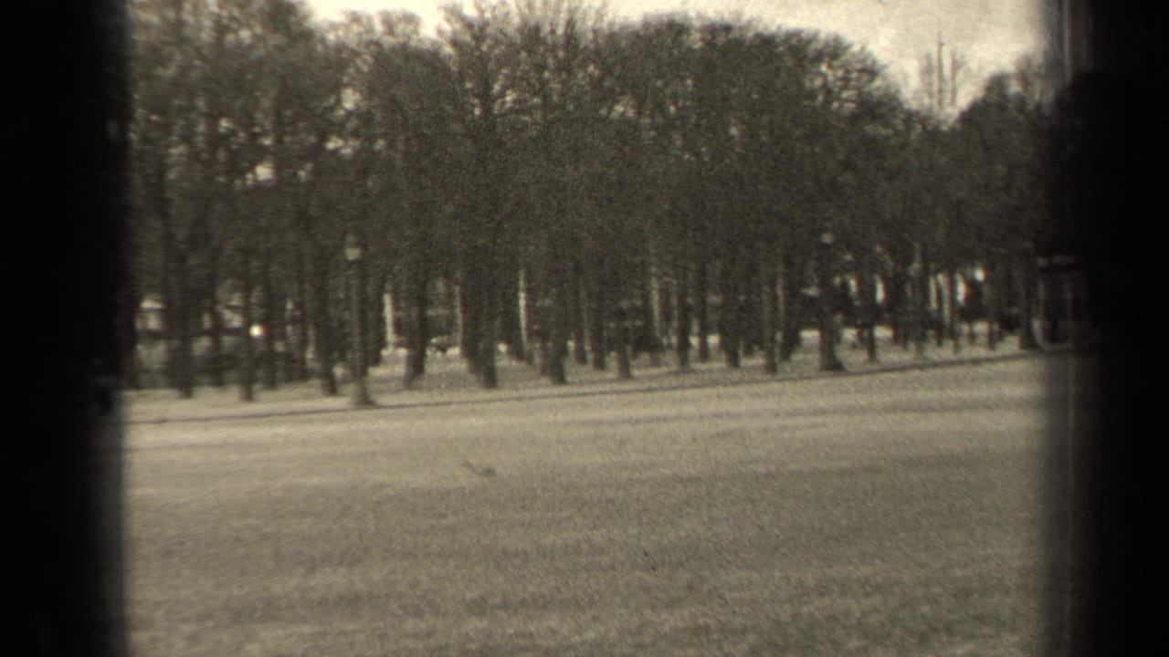 Open park lawn with bare trees, seen through dark vertical frame edges.