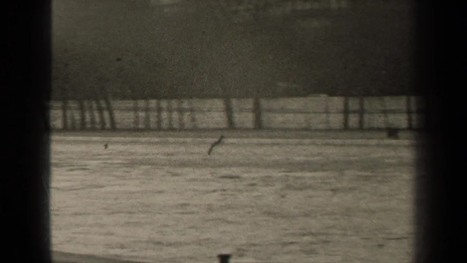 1947 Paris 8mm frame showing calm water, a low fence, bare trees, and distant buildings through dark vertical framing.