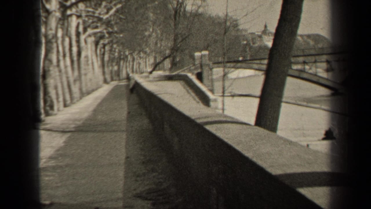 Tree-lined riverside walkway beside a stone wall and water, viewed through dark film-frame edges.