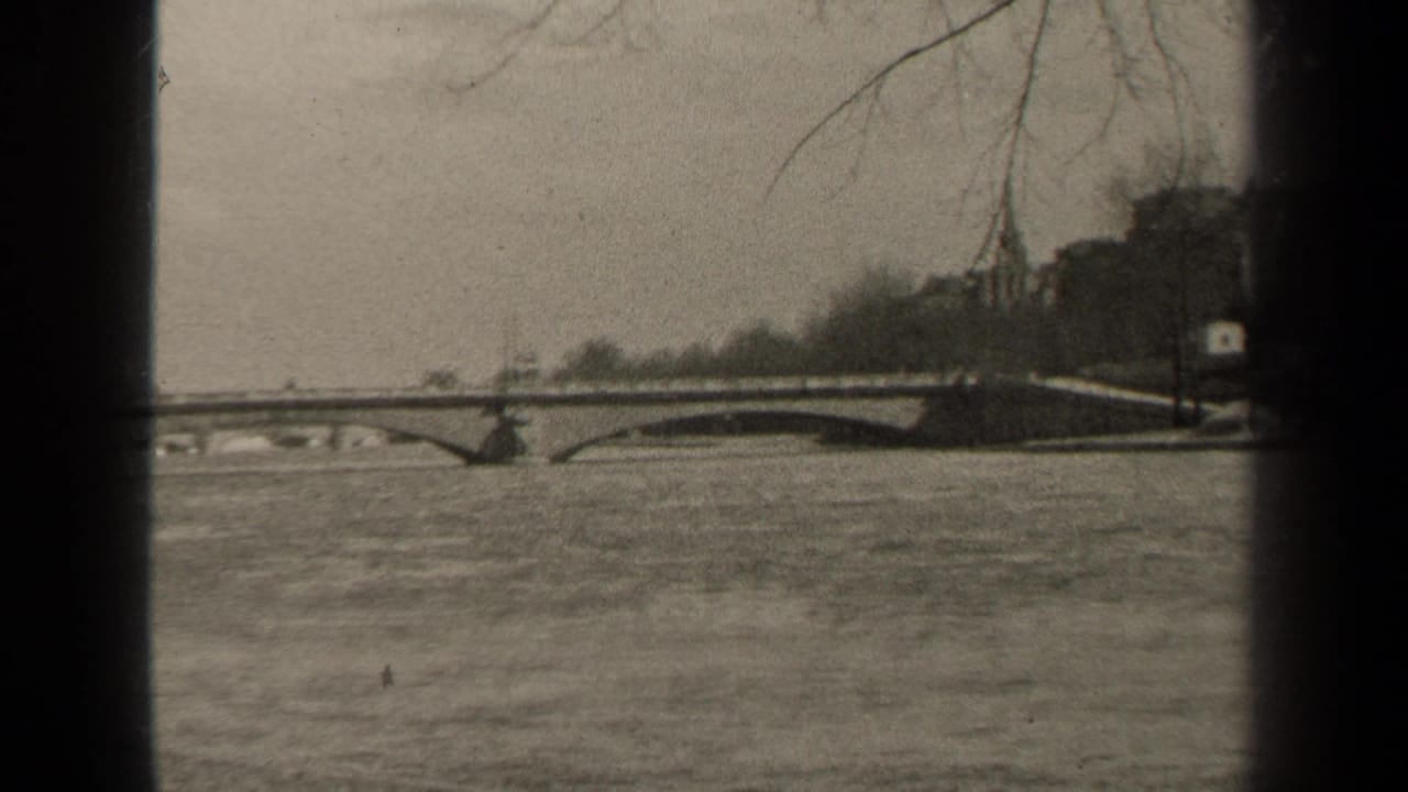 Arched bridge crosses a broad river with trees and buildings beyond.