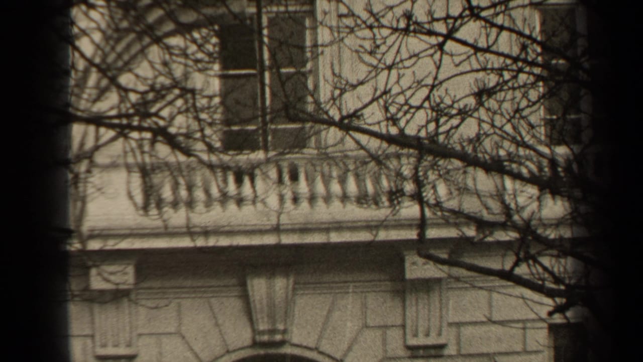 Upper stone facade with rectangular windows, balcony balustrade, bare branches, and dark vertical band.