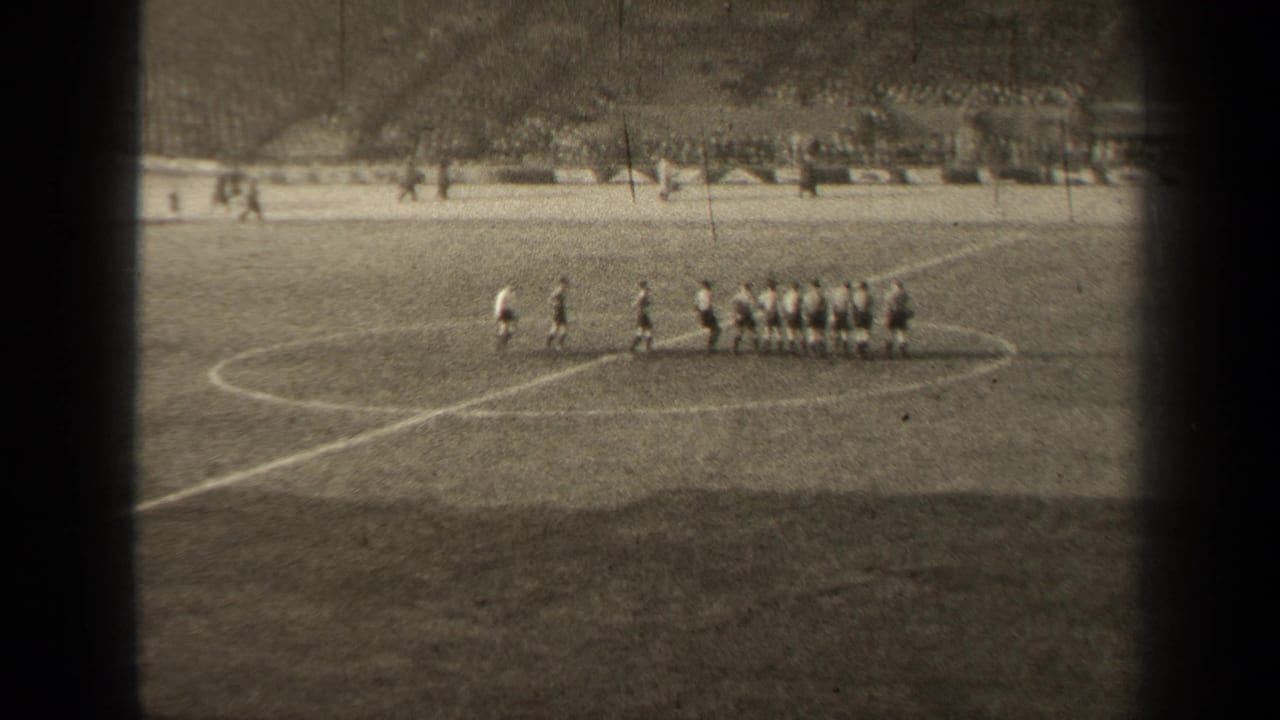 Two teams stand in a line at midfield on a stadium soccer pitch.