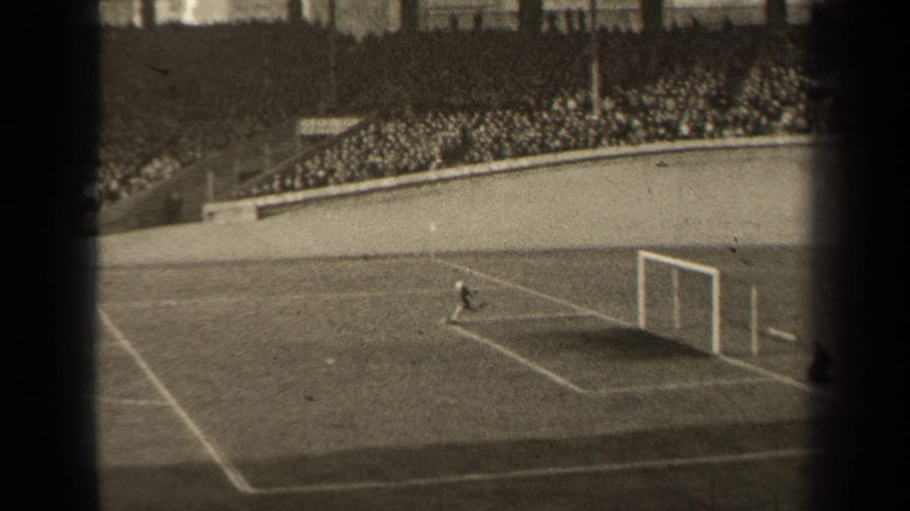 Goalkeeper positioned near the goal with spectators filling the stadium behind.