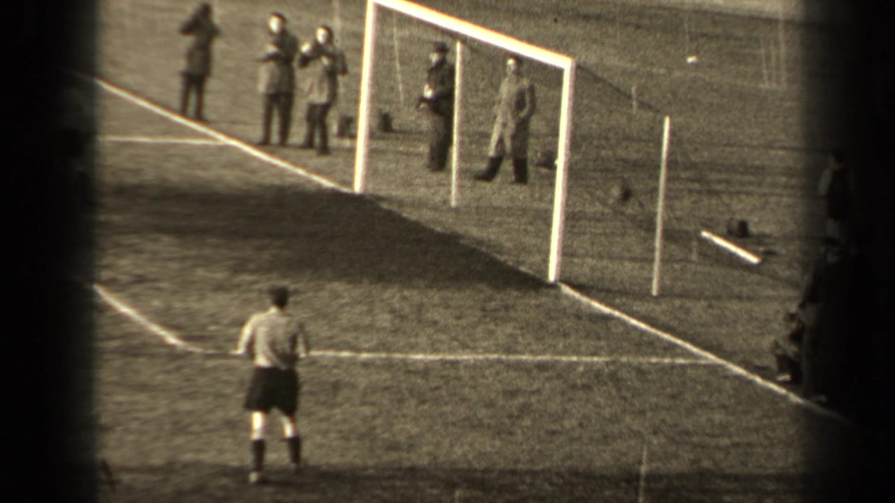 A goalkeeper stands in front of a goal with spectators behind it.