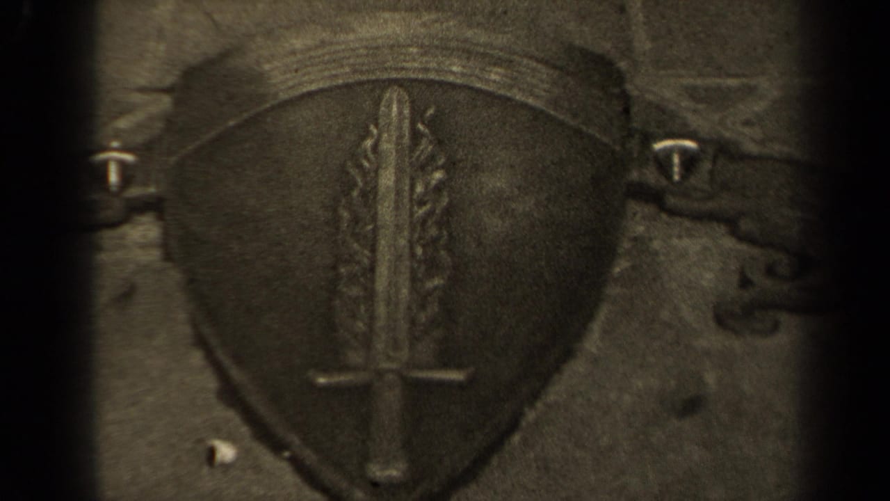 Close view of a stone shield emblem with a sword and flame-like forms.