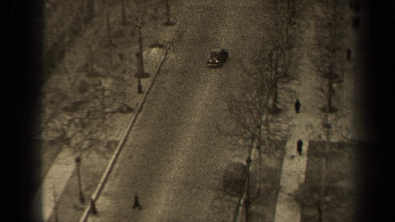 Tree-lined street seen from above with a small car and pedestrians on the sidewalk.