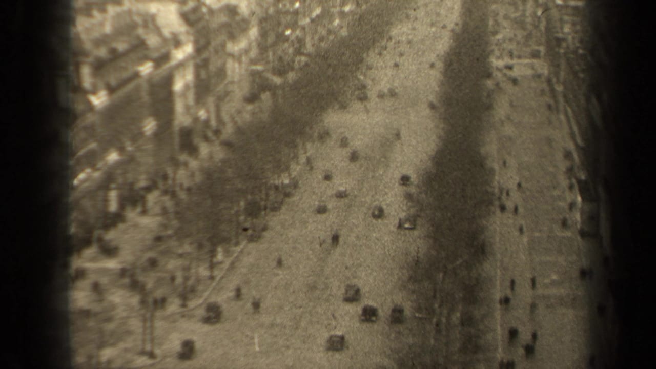 High-angle view of a tree-lined boulevard with cars and pedestrians below.
