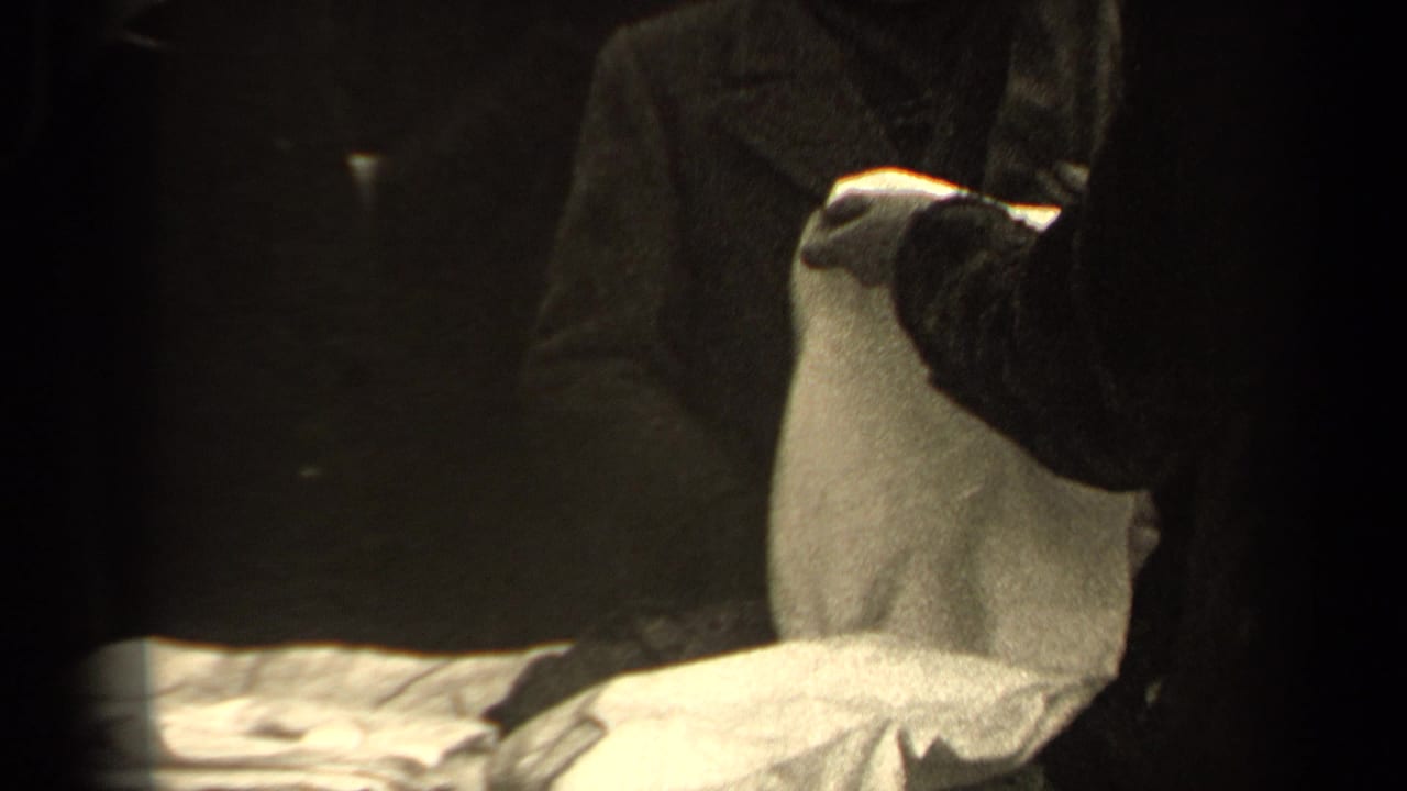 A person in a dark coat lifts pale fabric while another figure stands nearby.