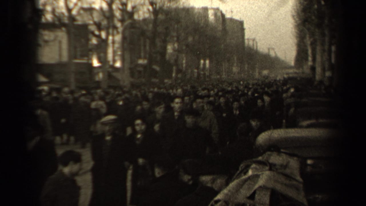 Large crowd walking along a broad street lined with bare trees.