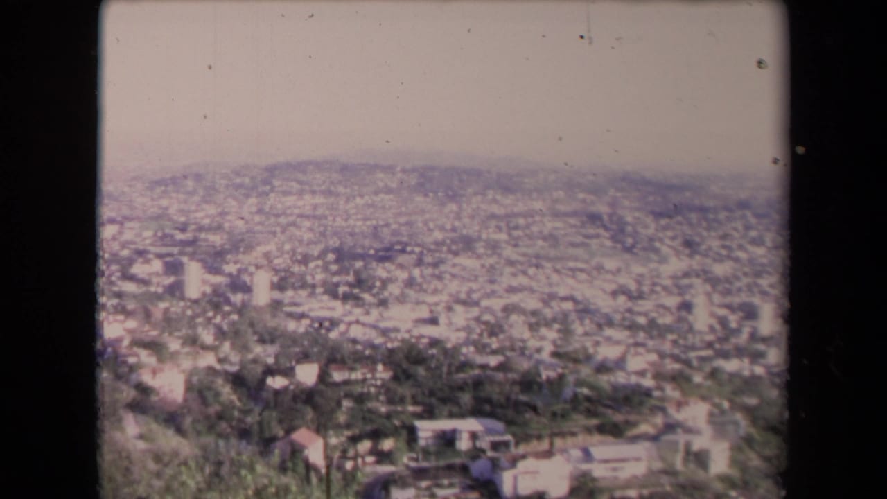 Wide 1967 Los Angeles overlook with a wooded hillside foreground, dense city fabric, and soft distant hills.