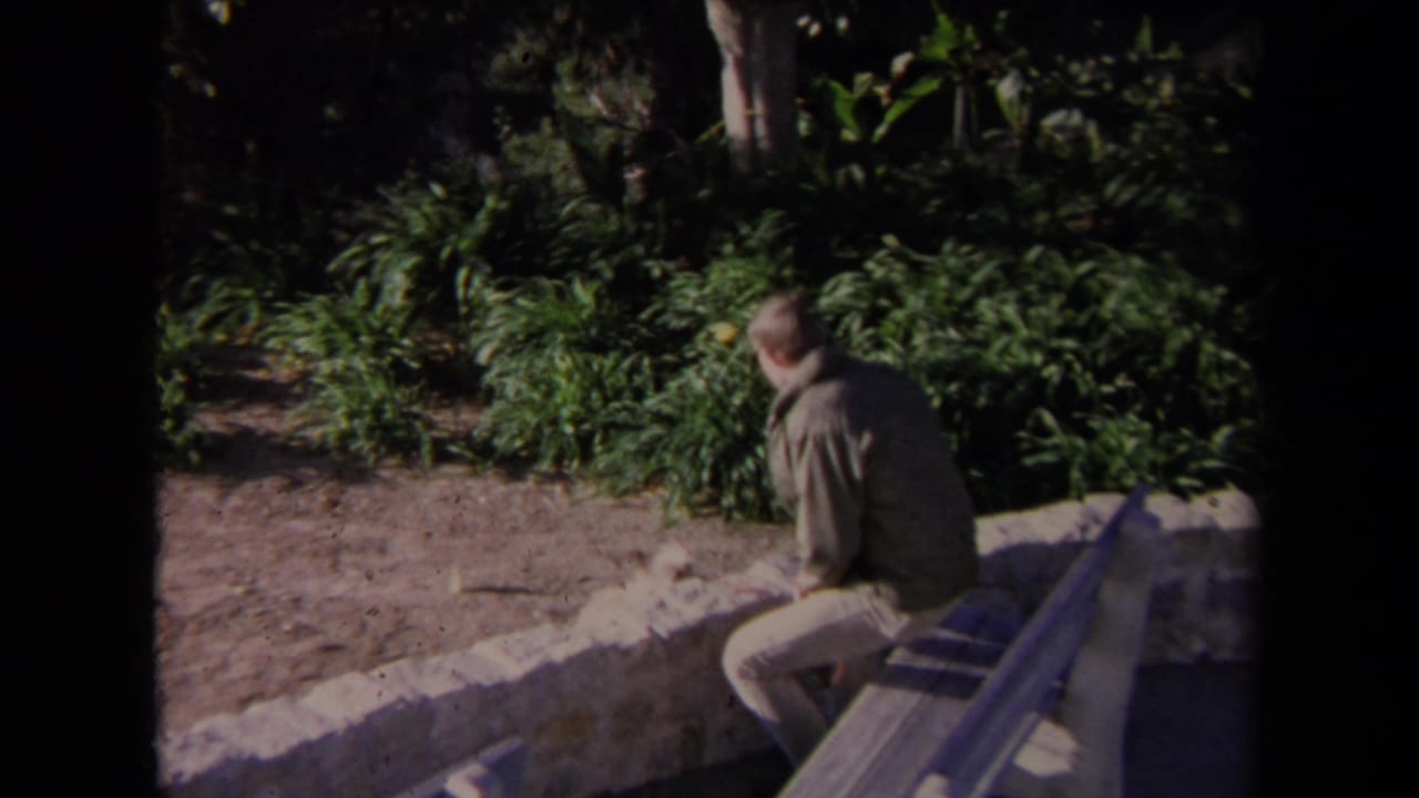 Man seated beside a low stone wall in a leafy garden area.