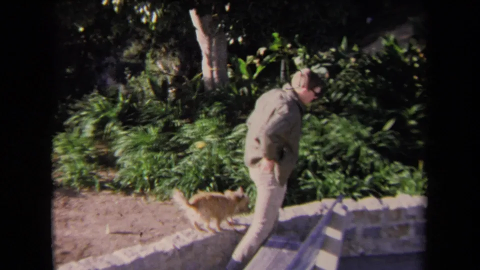 A man in light trousers and jacket pauses near the stone wall as the small dog walks through the sunlit garden area.