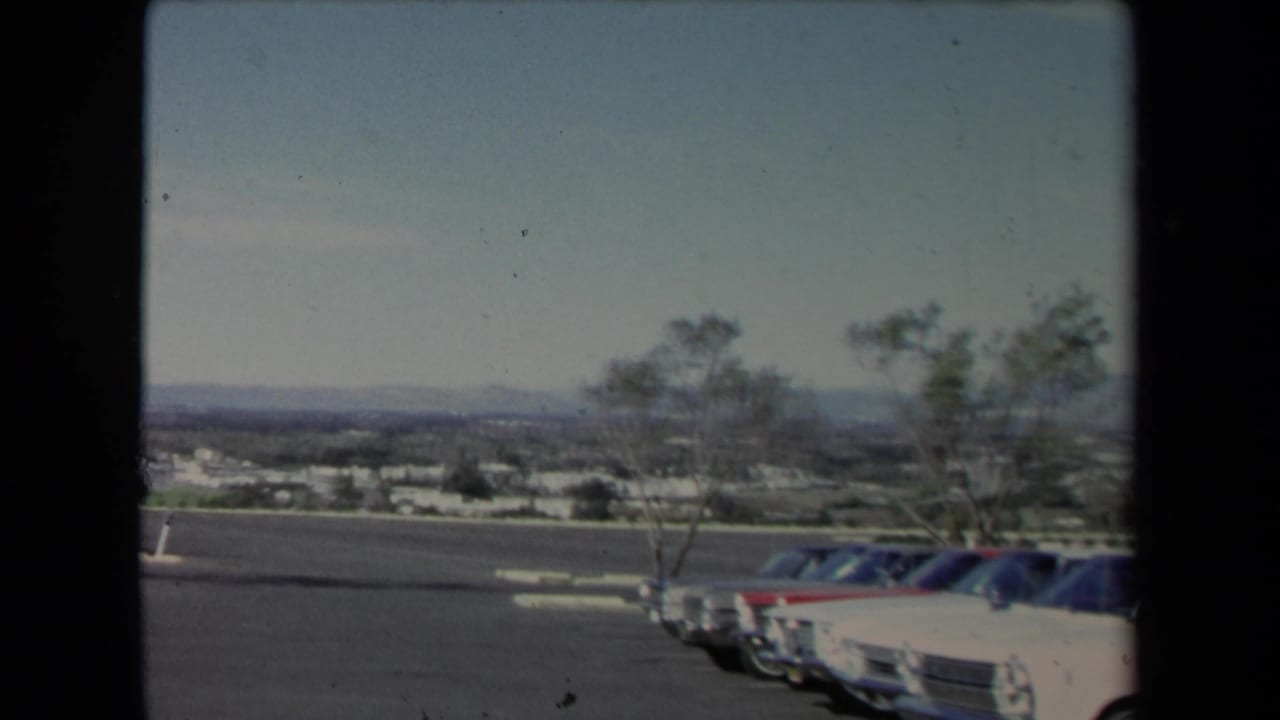 Row of parked cars beside sparse trees with a distant suburban view and hills.