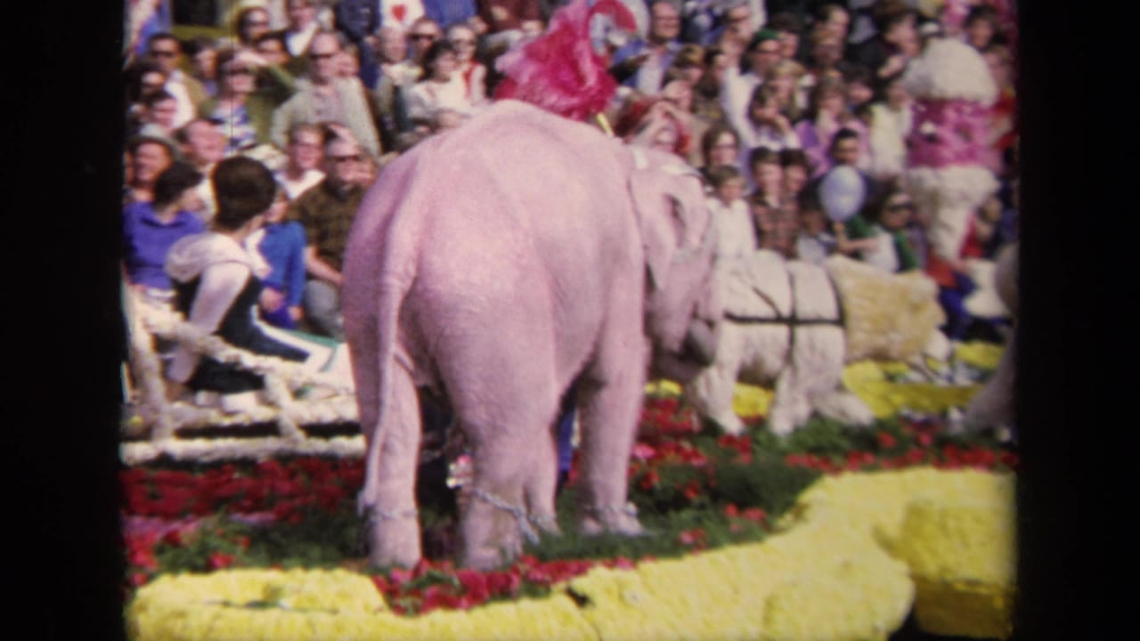 Rear view of a pink elephant figure on the decorated 1967 Los Angeles parade float, with floral trim and a large spectator crowd beyond.