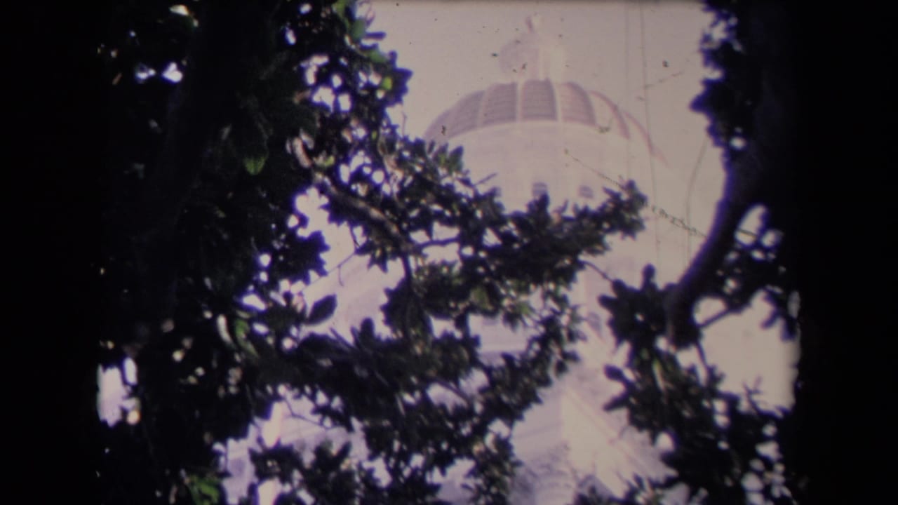 Domed building partly hidden by dark tree branches and leaves.