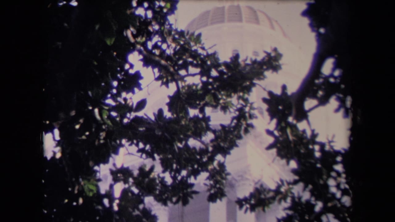 Tree branches frame the upper dome and facade of a pale building.