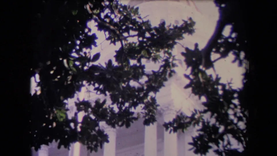 The 8mm frame shows columns and part of a dome seen through heavy foreground foliage.