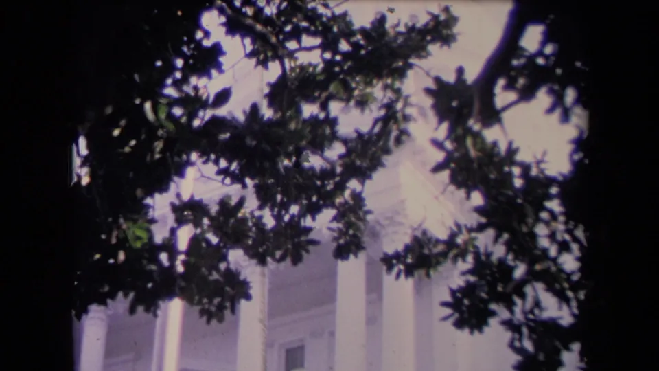 A Washington exterior frame, per metadata, with a domed classical building partially blocked by tree branches.