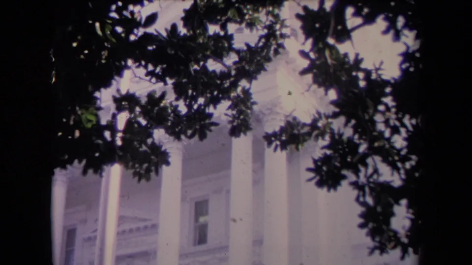 Soft 8mm view of a white neoclassical building facade framed by dark leaves and branches.