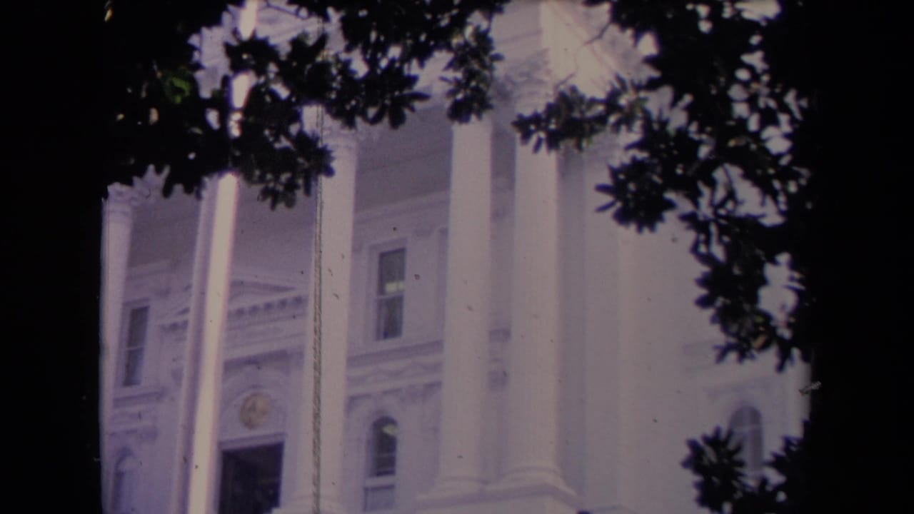 White-columned building facade seen through dark tree branches and a foreground trunk.