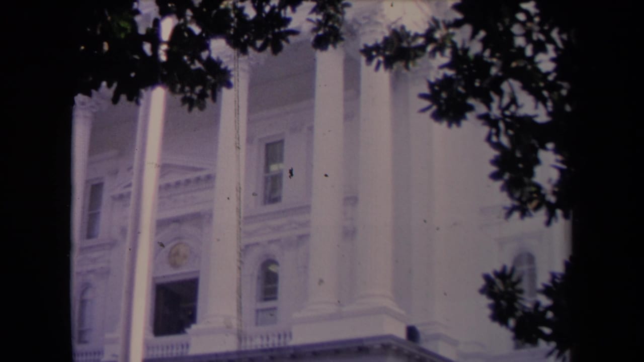 Close view of tall white columns, windows, and dark tree cover around a building entrance.