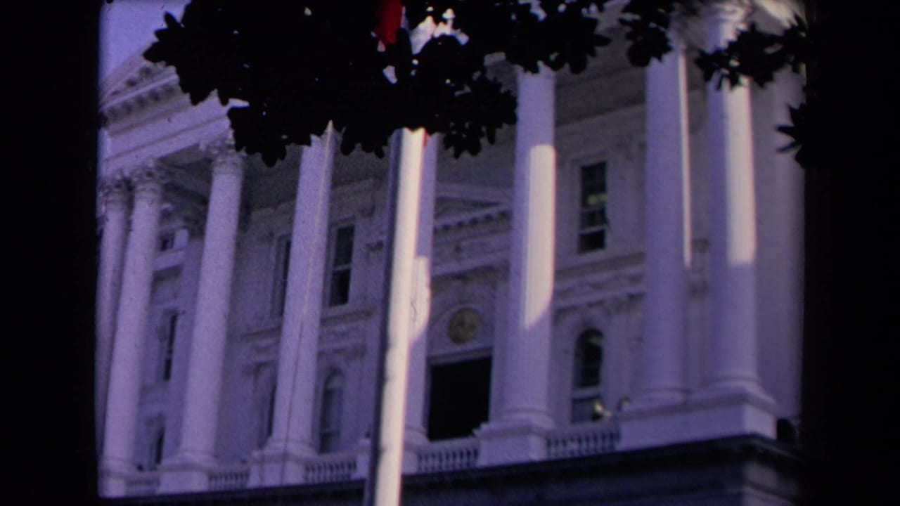 Tall white columns and part of a neoclassical building seen through dark tree branches.