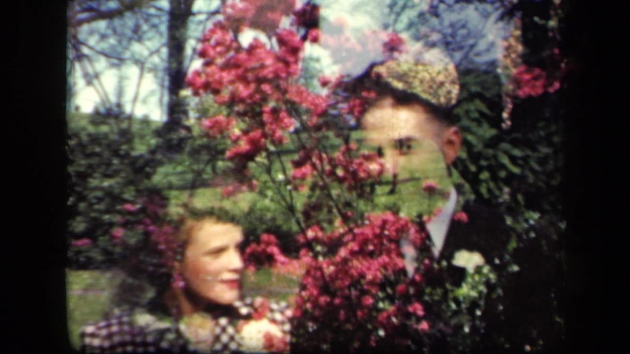 Couple posing behind pink flowering branches in a garden.