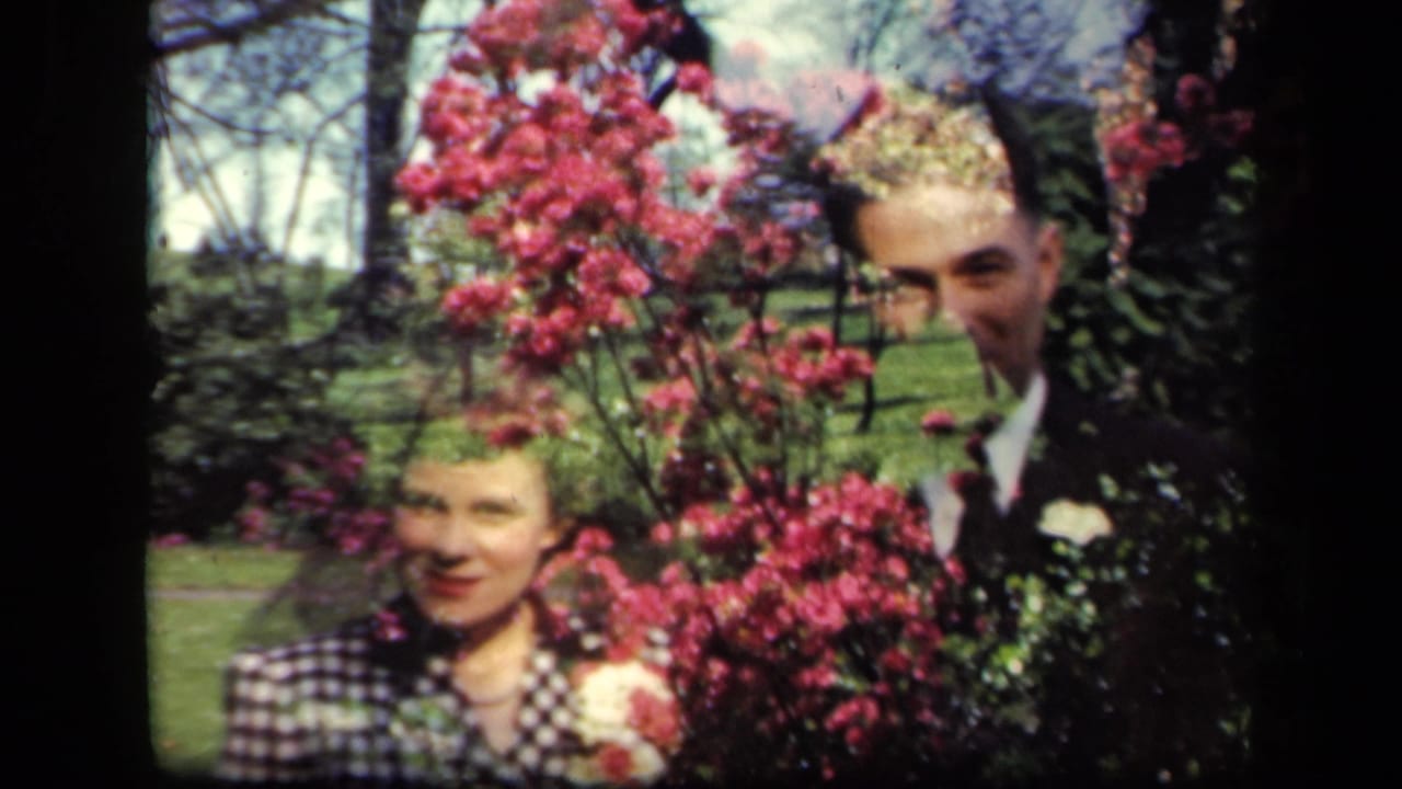 Woman and man smiling beside dense pink blossoms outdoors.
