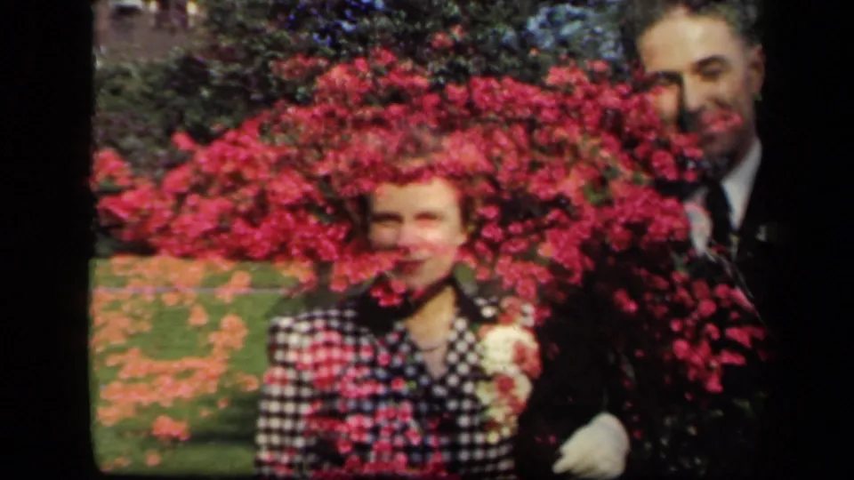 The final frame shows the couple close together behind vivid pink blossoms, with grass and trees in the background.