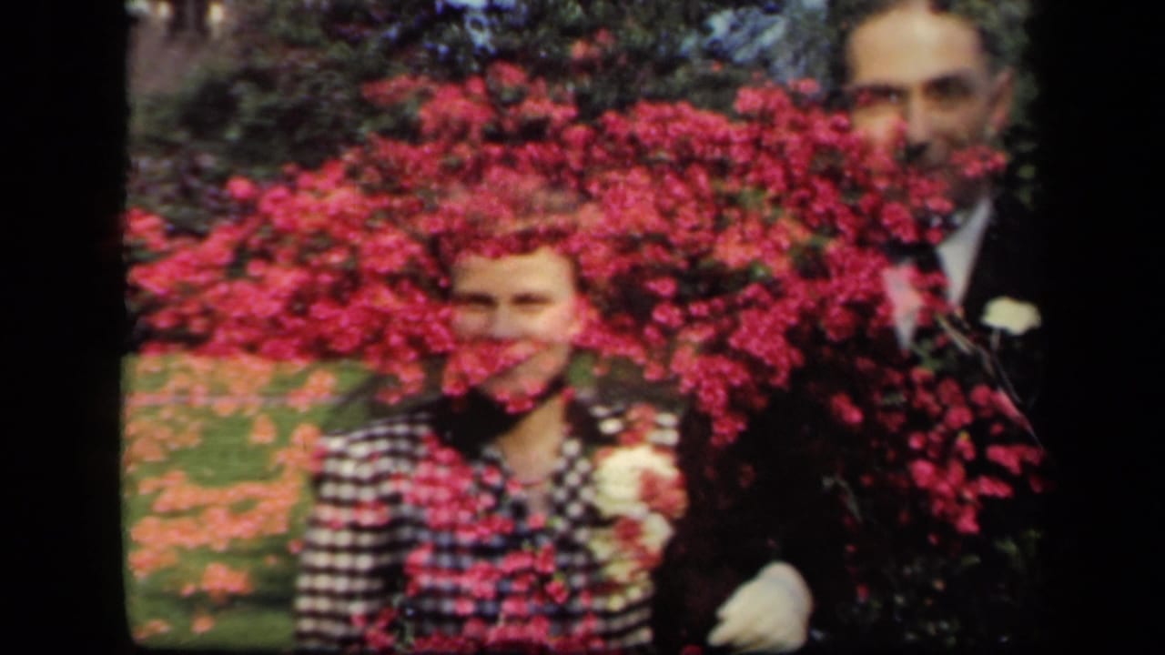 1941 New York home-movie frame of a woman in a checkered dress and a man in a suit partly hidden by bright blossoms.