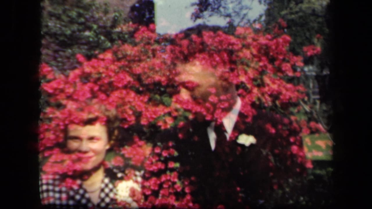 Smiling couple behind bright red flowers in an outdoor garden.