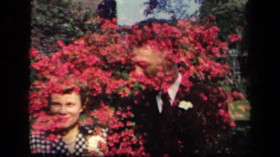 The couple remains framed by saturated red blossoms, with the man's boutonniere and the woman's patterned dress visible.