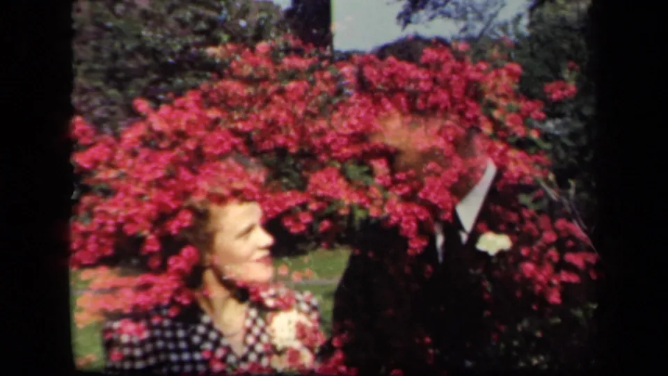A woman in a black-and-white checkered dress looks toward a suited man, both partly veiled by red garden flowers.