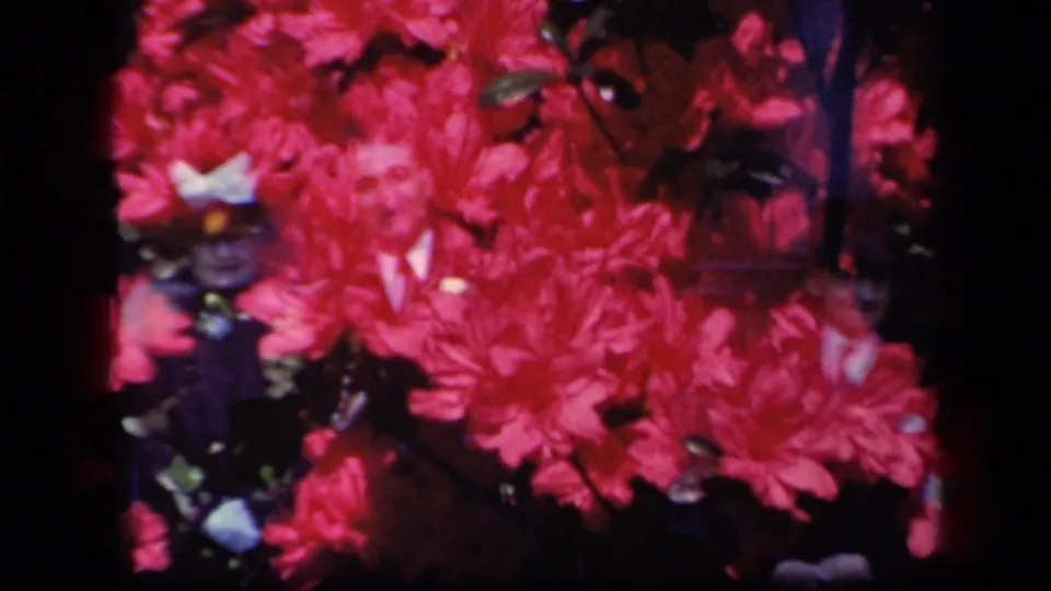 1941 New York 8mm frame with dense red blossoms, small pale overlay shapes, soft focus, and black film edges from a double exposure.