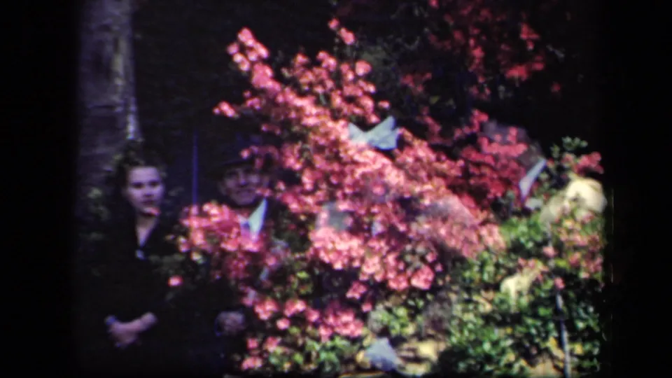 1941 New York home-movie frame with formally dressed adults partly visible behind pink flowering branches and green foliage in double exposure.