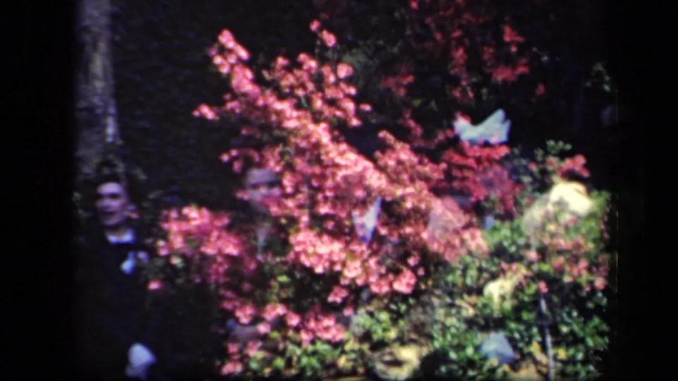 1941 New York 8mm frame with a woman's face and faint formal figures layered behind pink blossoms, foliage, and dark film borders.