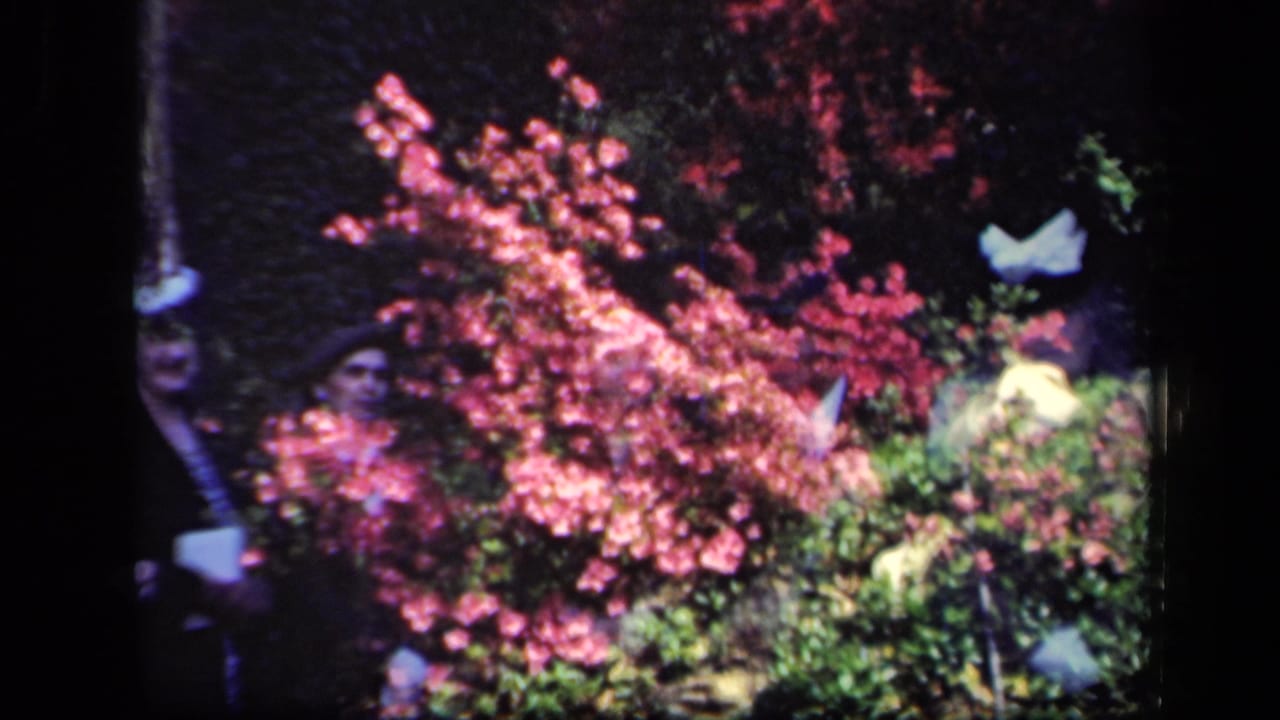 1941 New York home-movie frame with partial figures behind bright pink flowering branches and dense green garden foliage.