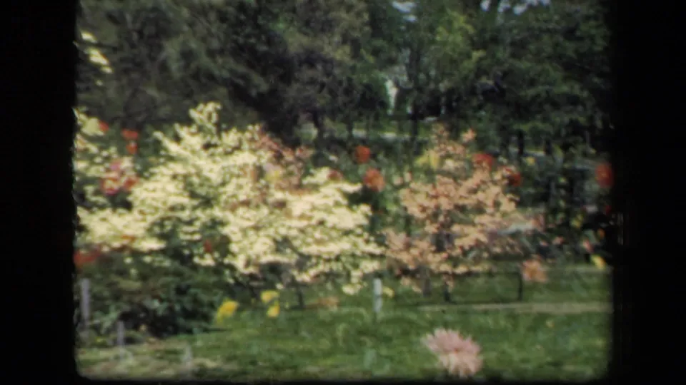 1941 New York 8mm home-movie frame showing pale flowering shrubs, lawn, trees, and garden plantings in soft focus.