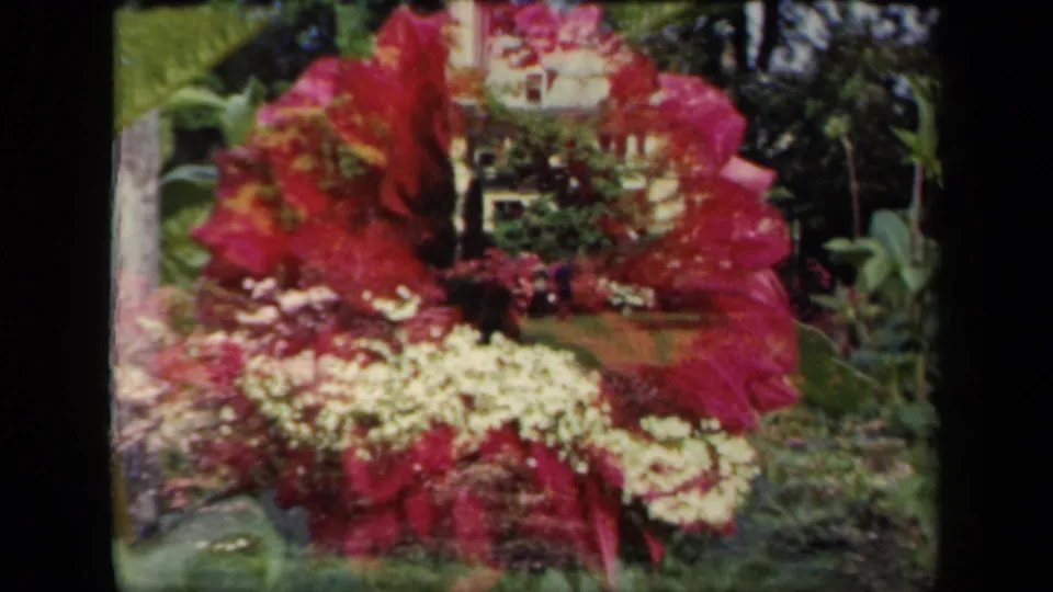 1941 New York 8mm frame showing red and white flowers in a shaded garden, with soft focus and dense greenery behind.