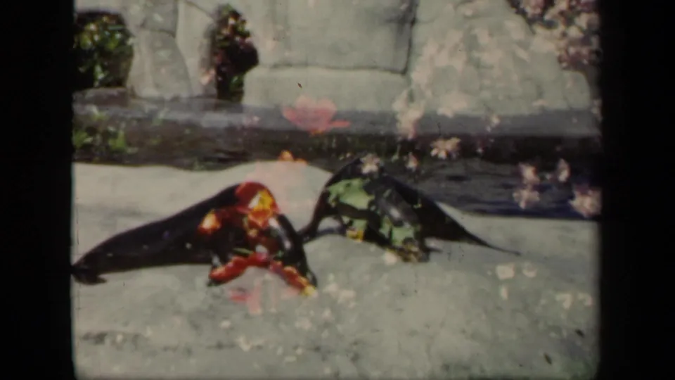 A 1941 New York zoo home-movie frame shows two seals on pale rocks with colorful decoration and water behind them.