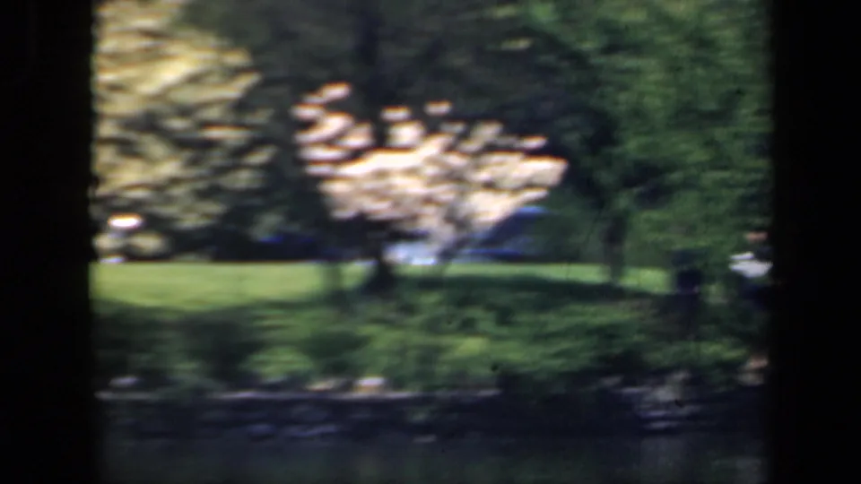 1941 New York 8mm frame with a blurred flowering tree, green lawn, shrubs, foreground water, and dense park foliage.