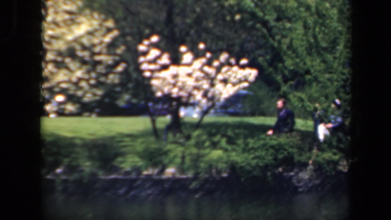 1941 New York 8mm frame showing a sunlit garden area with blossoming trees, green lawn, pond water, and dark gate edges.
