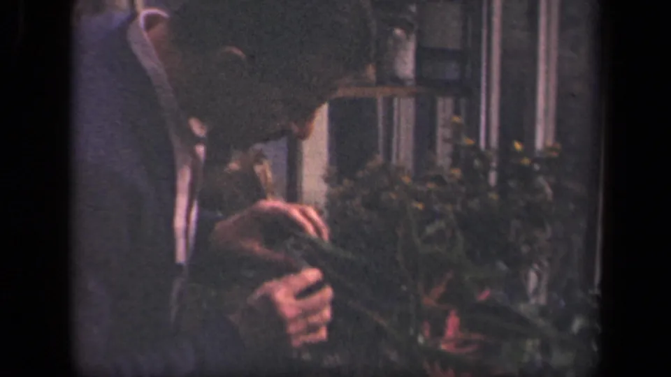 The adult man bends low over leafy branches, apparently checking the plants in a New York 1941 home-movie garden setting.